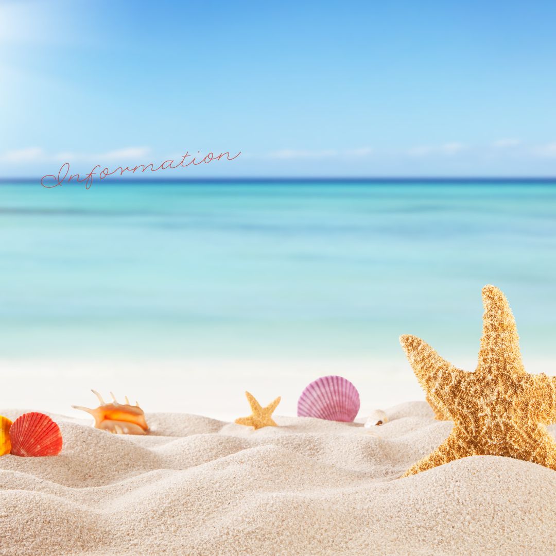 夏季休業のお知らせ