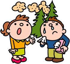 建築士による花粉もきれいにするおうち相談会